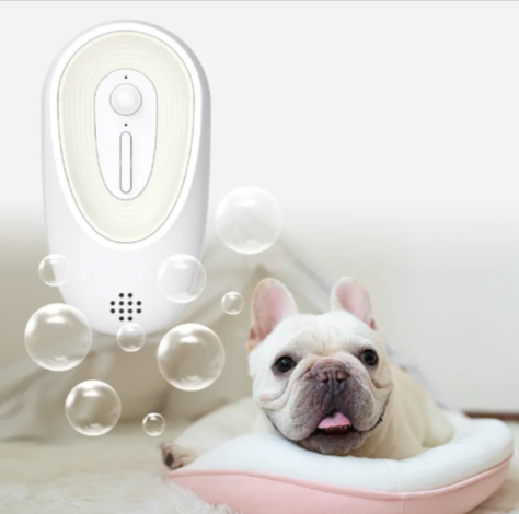 Pet Odor Eliminator - Gifty Girls Shop