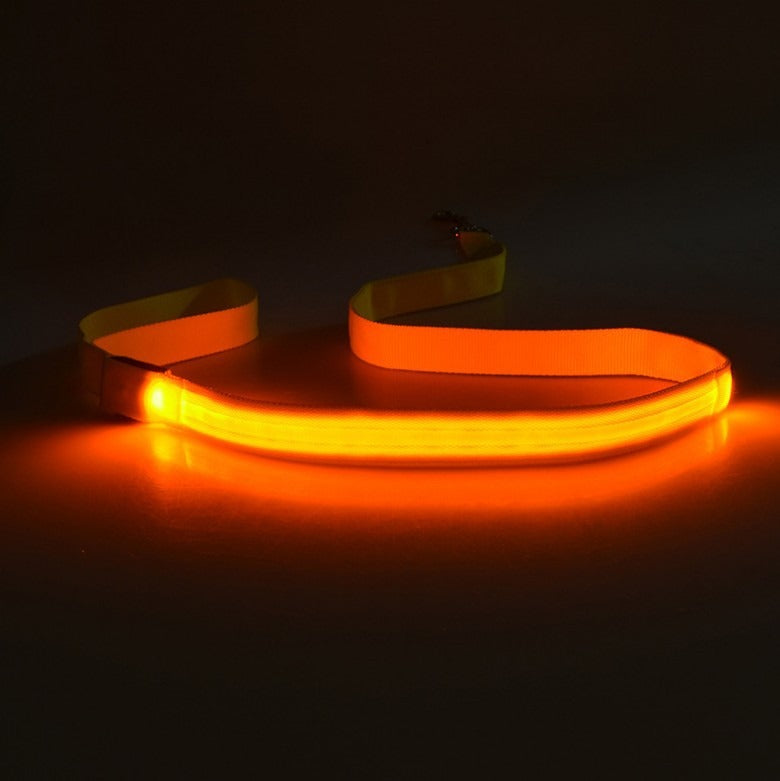 LED Light-Emitting Dog Leash - Gifty Girls Shop