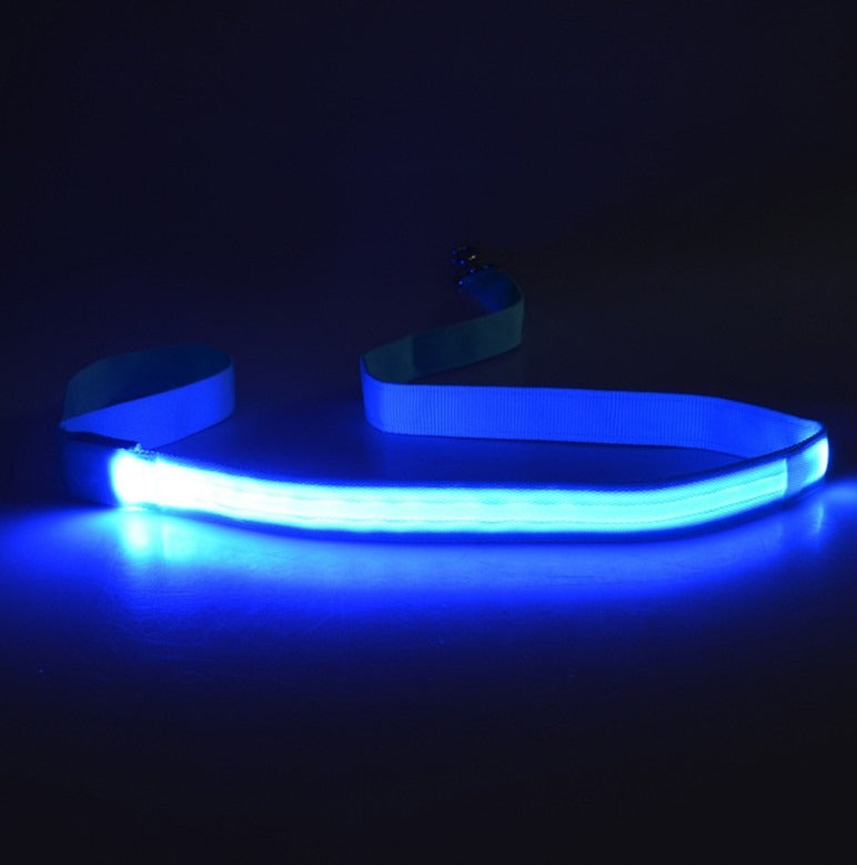 LED Light-Emitting Dog Leash - Gifty Girls Shop