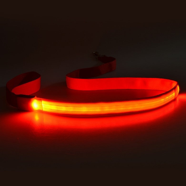 LED Light-Emitting Dog Leash - Gifty Girls Shop