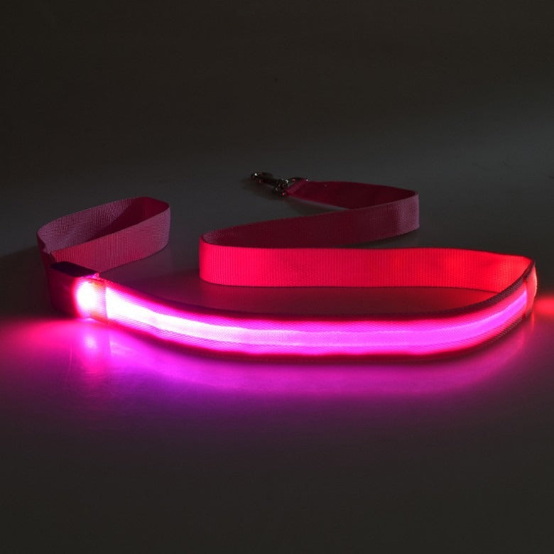 LED Light-Emitting Dog Leash - Gifty Girls Shop