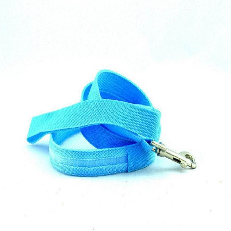 LED Light-Emitting Dog Leash - Gifty Girls Shop